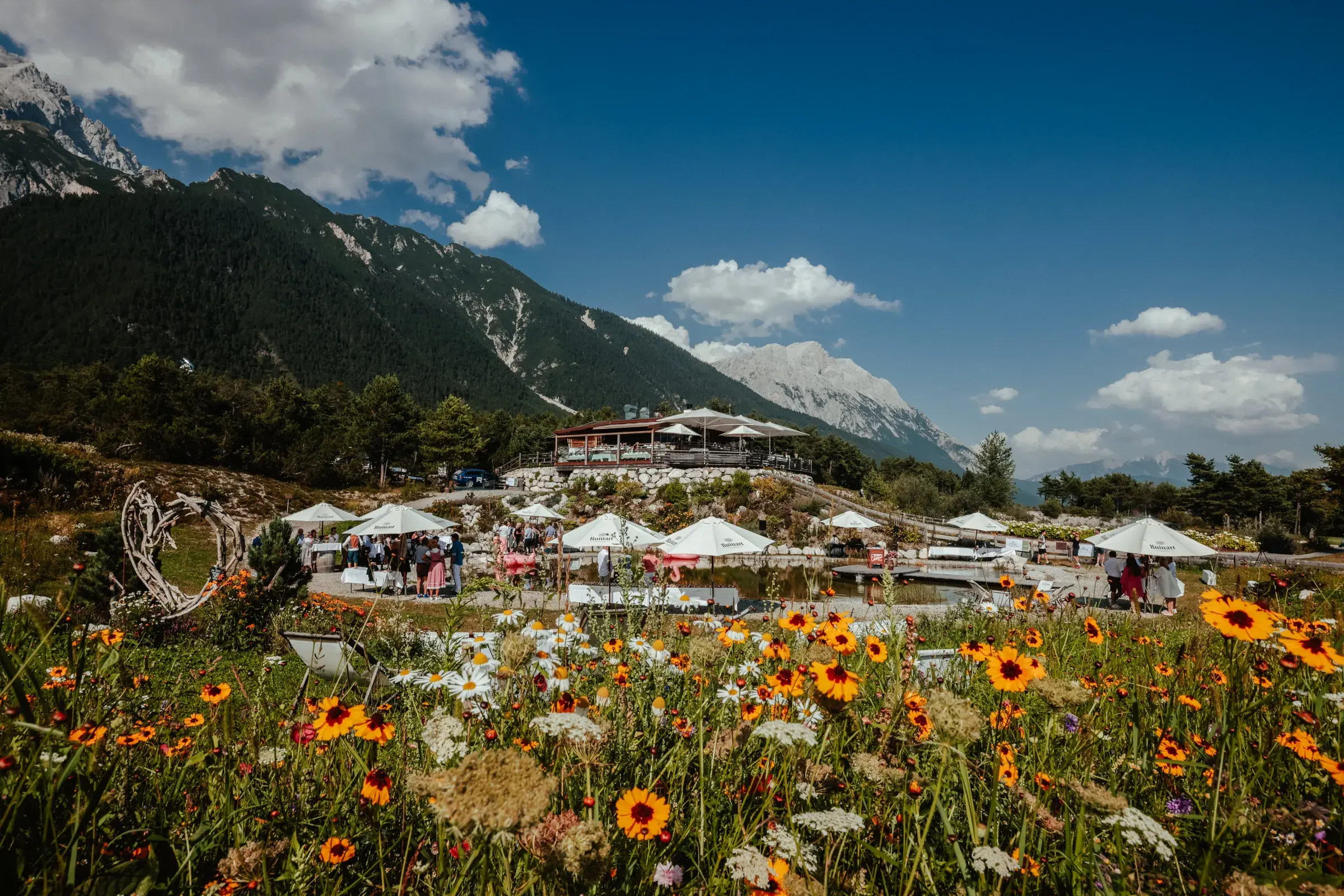 Blühende Sommerwiese mit Blick auf die Stöttlalm und das Bergpanorama am Mieminger Plateau